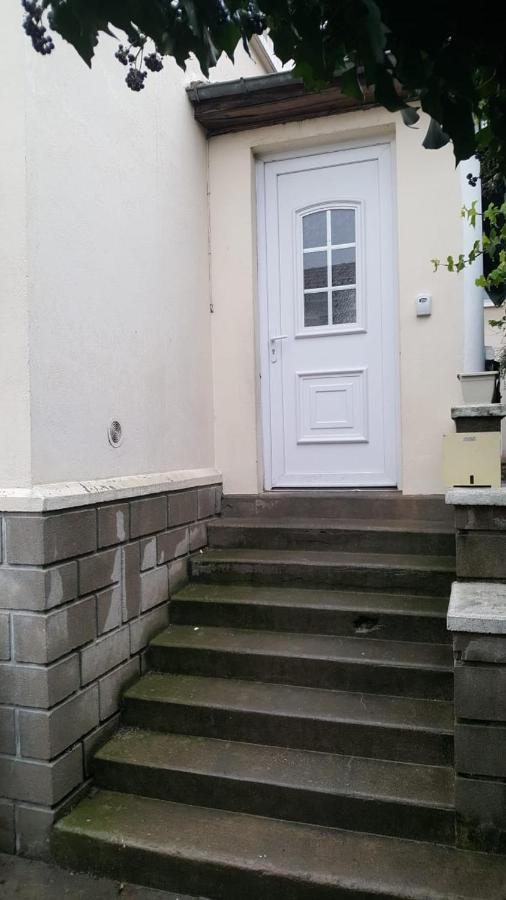 Grand Appartement Avec Terrasse & Jardin A 5 Minutes De Paris Cachan Eksteriør billede